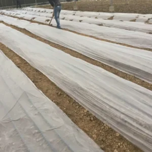 Hot Sale Mulch Agriculture Black PBAT Mulch Agriculture Compostable