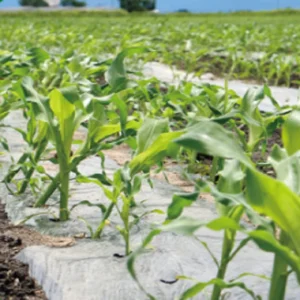 Biodegradable mulch PBAT degradable material greenhouse vegetable mulch pla granule polylactic acid degradable plastics