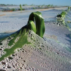 Fully Biodegradable Mulch Polylactic Acid (PLA) PBAT Biodegradable Film