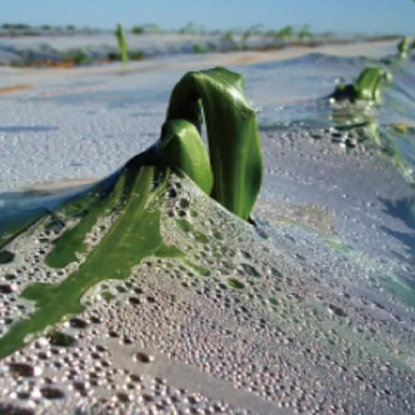 Fully Biodegradable Mulch Polylactic Acid (PLA) PBAT Biodegradable Film