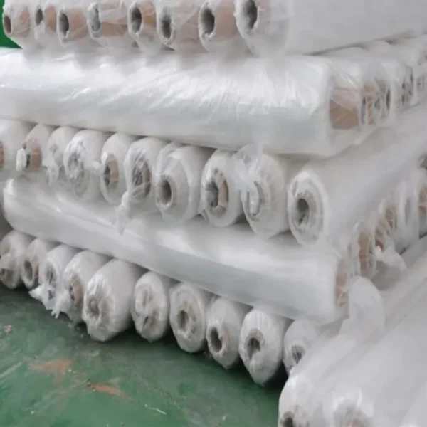 Agricultural Vegetable Fruit Crop Compostable Mulch PBAT+PLA Biodegradable Transparent Mulch - 图片 2