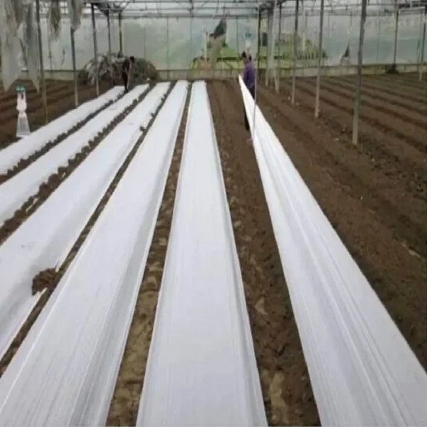 Compostable Agricultural Film Biodegradable Mulch OK Composting Film - 图片 2