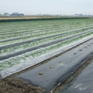 Compostable Agricultural Film Biodegradable Mulch OK Composting Film